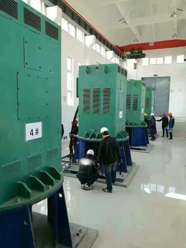 Y5602-2某污水处理厂使用我厂的立式高压电机安装现场报价