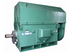 Y5602-2YKK系列高压电机